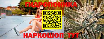 ALPHA PVP Бийск