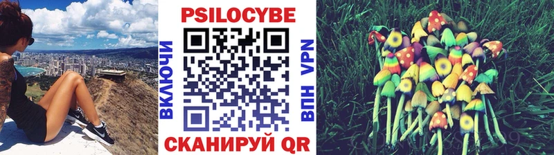 Галлюциногенные грибы Magic Shrooms  Магадан 