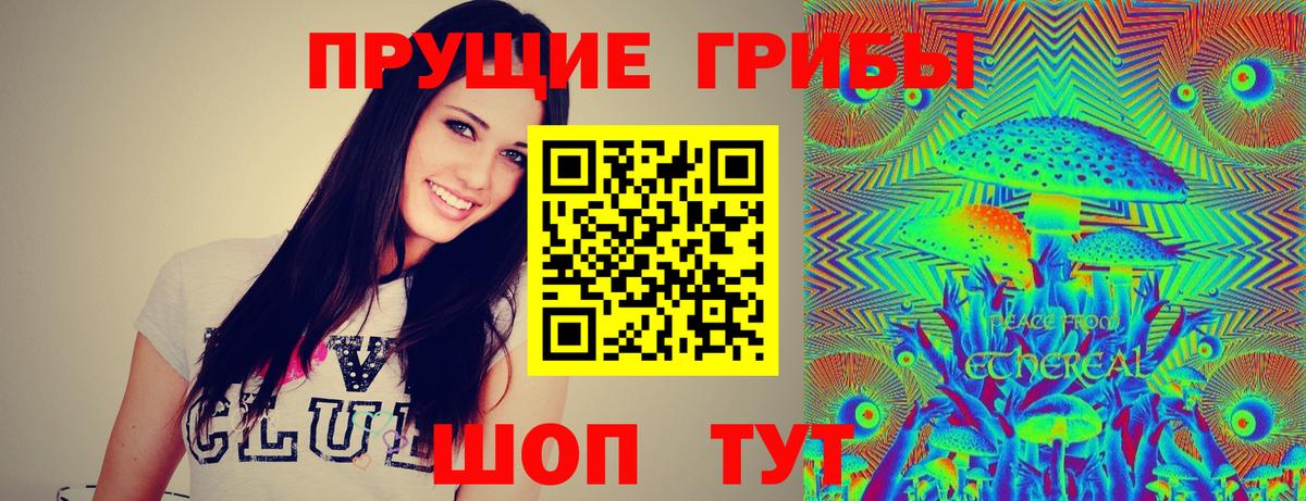 Магадан  МДМА  Гашиш  Мефедрон   ТГК  Cocaine  МЕТ  Марихуана 