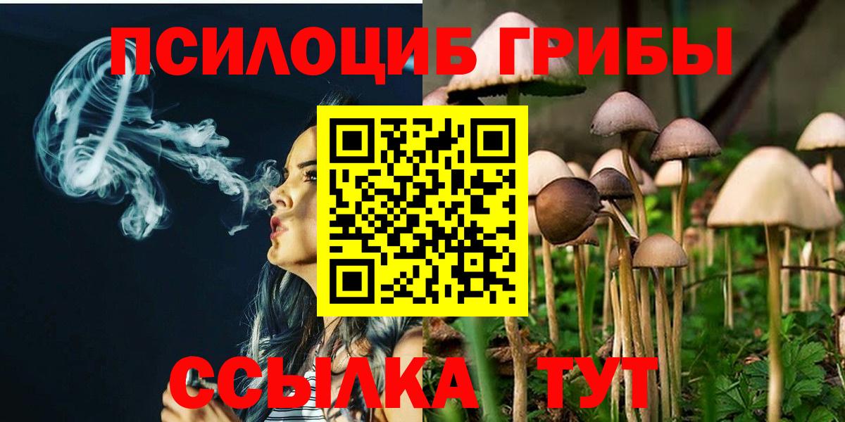 Галлюциногенные грибы MAGIC MUSHROOMS  Вход с VPN  Галлюциногенные грибы Cubensis  Магадан 